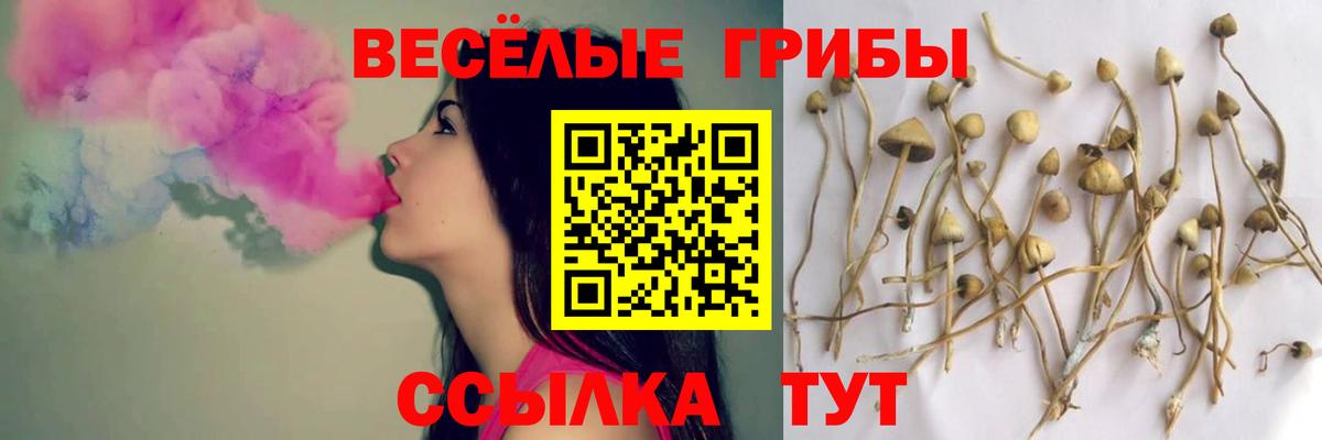 Галлюциногенные грибы Magic Shrooms Приморско-Ахтарск